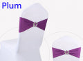 Royal Crown Buckles Chair Sashes 30 colors to choose from